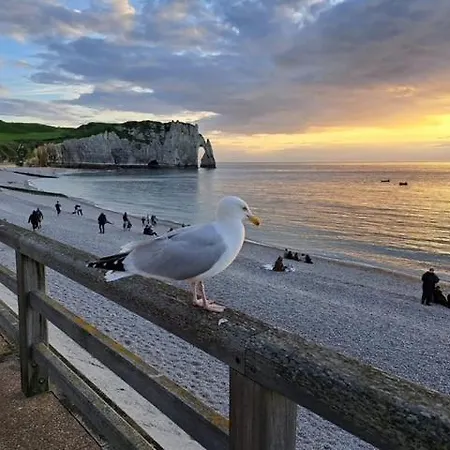 Nouveaute 2026 Piscine Chauffee - Le De Soleilmapou Pour 12 Personnes En Normandie Pres De Fecamp Et D'etretat, Ideal Grandes Tribus, Vous Pouvez Me Contacter Sur Les De Soleilmapou Prázdninový dům *